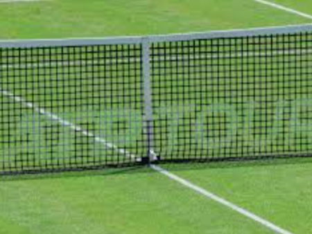 Pronostico Alejandro Davidovich Fokina-Lorenzo Sonego: scommesse Tennis ATP Eastbourne 2024