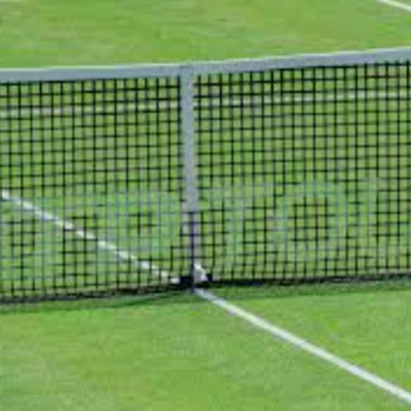 Pronostico Alejandro Davidovich Fokina-Lorenzo Sonego: scommesse Tennis ATP Eastbourne 2024
