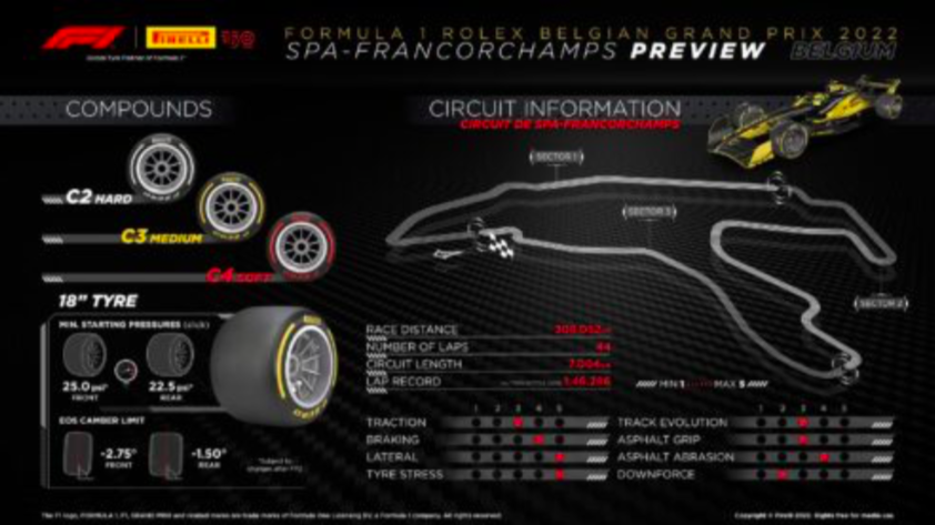 Pronostici F1 GP Belgio 2024 pneumatici